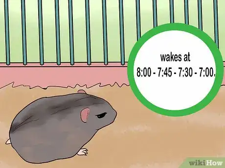Image titled Set a Routine for Your Hamster Step 2