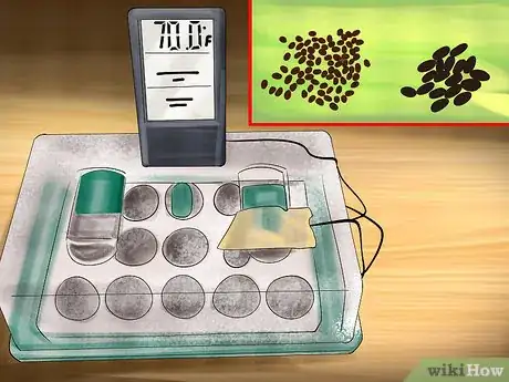 Image titled Germinate Seeds with Humidity Step 1