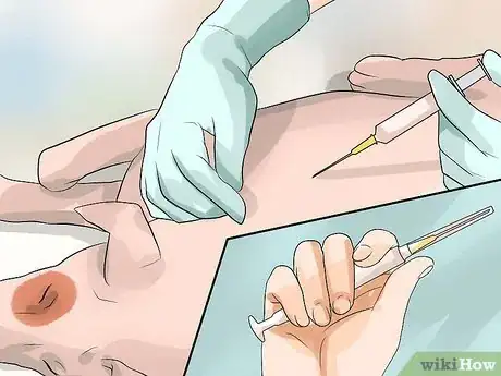 Image titled Prevent Dog Flu Step 4