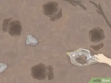 Image titled Prepare Soil for the Application of Fertiliser Step 1