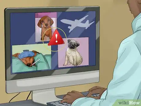 Image titled Prepare a Dog for Air Travel Step 1
