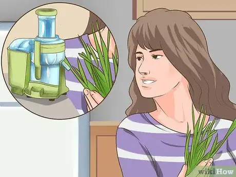 Image titled Choose a Juicer Step 8