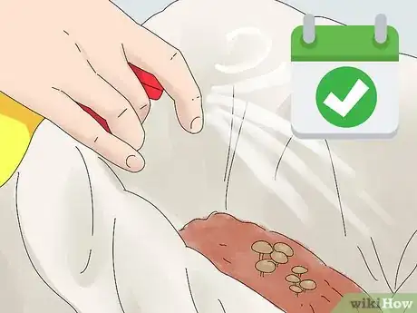 Image titled Grow King Oyster Mushrooms Step 13