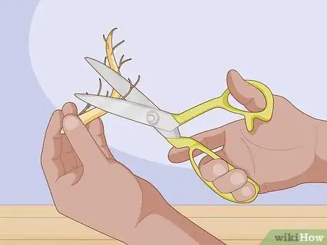 Image titled Take Root Cuttings Step 5