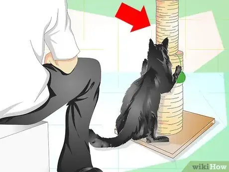 Image titled Care for an Overweight Cat Step 13