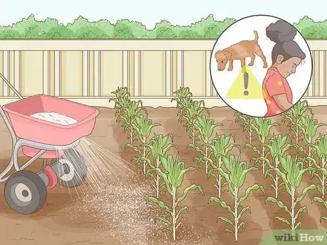 Image titled Use Diatomaceous Earth for Pest Control Step 3