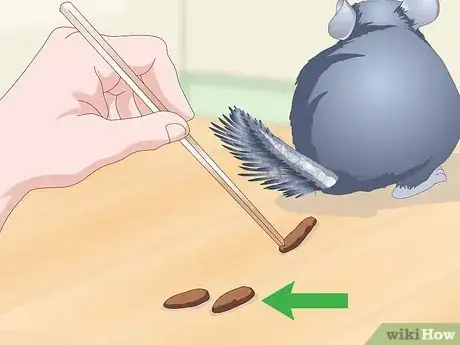 Image titled Help Your Chinchilla Adjust to its New Home Step 14