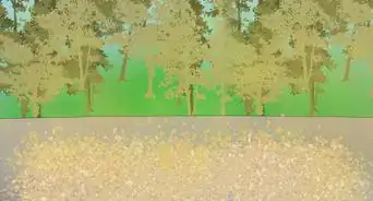 Harvest Coffee Beans