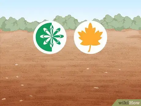 Image titled Grow Giant Vegetables Step 2