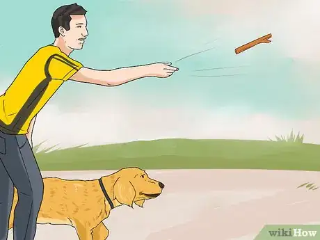 Image titled Holistically Care for a Dog Step 2