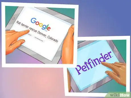 Image titled Adopt a Terrier Step 3