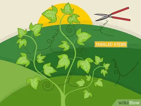 Image titled Prune Organic Plants Step 08