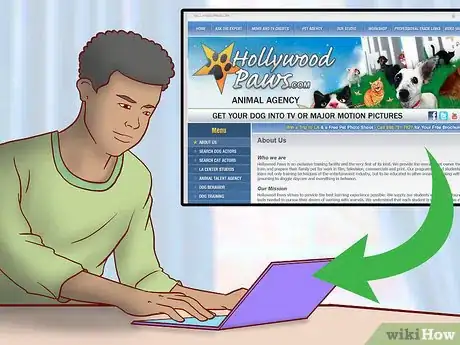 Image titled Get Your Dog Into a Commercial Step 4