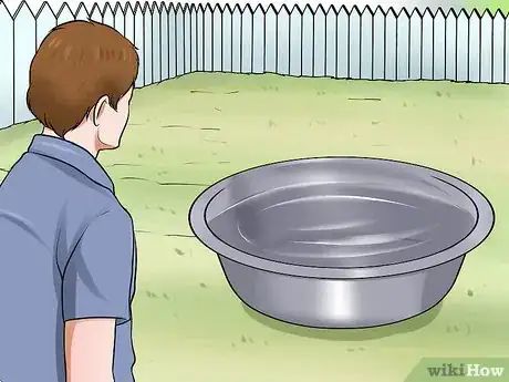 Image titled Bathe a Great Dane Step 2