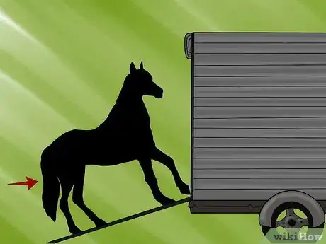 Image titled Train a Horse to Trailer Step 7