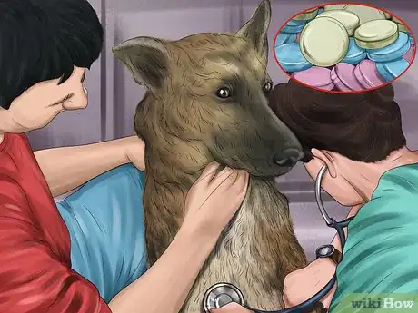 Image titled Treat Pancreatic Enzyme Deficiencies in German Shepherds Step 5
