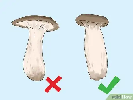 Image titled Grow King Oyster Mushrooms Step 14