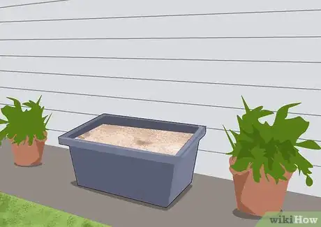 Image titled Grow and Care for Asiatic Lilies Step 12