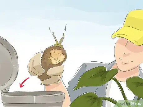 Image titled Discourage Skunks in Your Garden Step 6