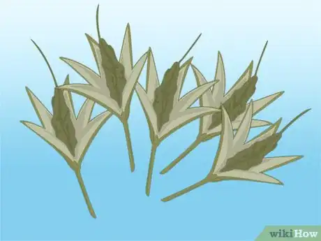 Image titled Propagate Azaleas Step 30