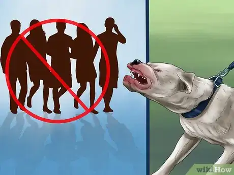 Image titled Keep Your Dog Under Control Outside Step 4