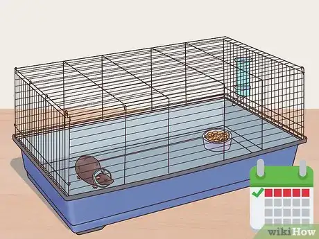 Image titled Desex a Pet Rat Step 8