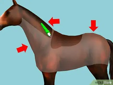 Image titled Clip Your Horse Step 5