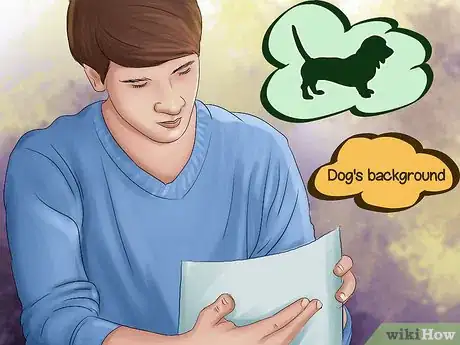 Image titled Make Your Dog Get Along With Other Dogs Step 3