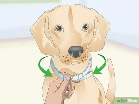 Image titled Treat Canine Tick Problems Step 19