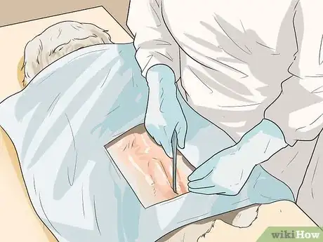 Image titled Care for Shihpoos Step 15