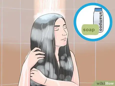 Image titled Eliminate Skunk Odor Step 5