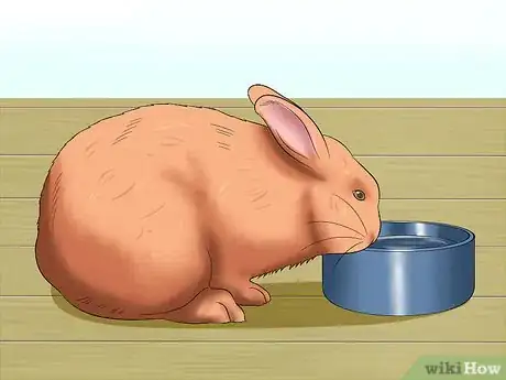 Image titled Keep Rabbits Warm in Sub Zero Weather Step 10