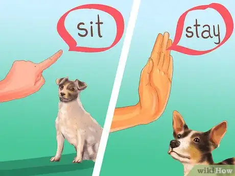 Image titled Adopt a Terrier Step 9