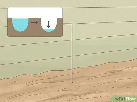 Image titled Grow Oriental Poppies Step 3