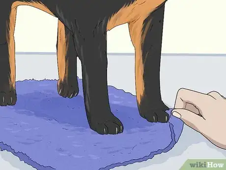 Image titled Wash a Dog's Paws Step 7