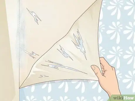 Image titled Dry Damp Walls Step 10