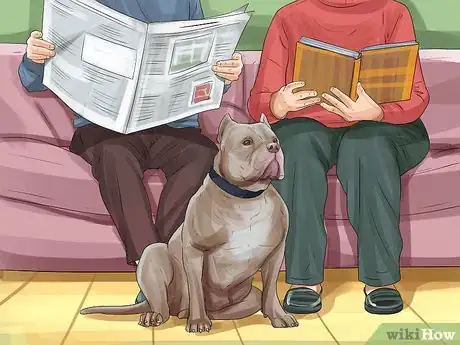 Image titled Adopt a Pitbull Step 1