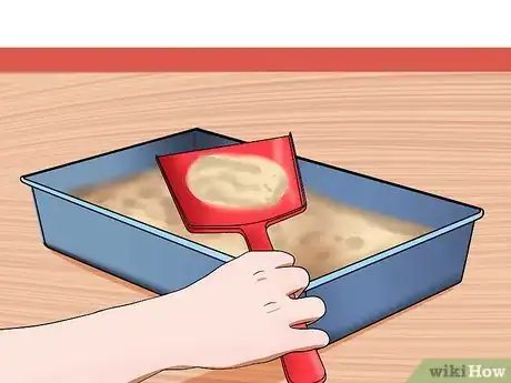 Image titled Get a Grumpy Cat to Like You Step 4