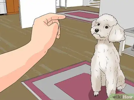 Image titled Teach a Dog to Read Sign Language Step 3