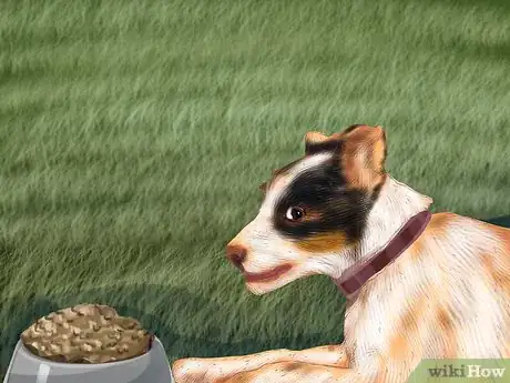 Image titled Adopt a Terrier Step 8