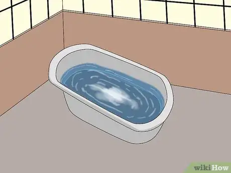 Image titled Choose a Finch Step 15