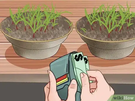 Image titled Plant Switchgrass Step 7