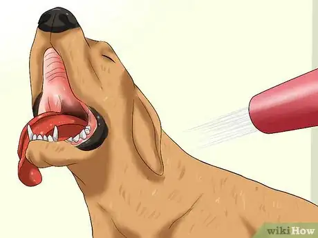 Image titled Bathe a Great Dane Step 8