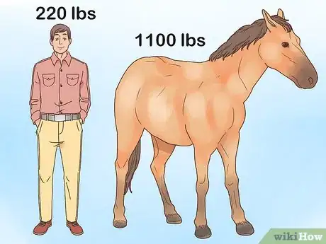 Image titled Choose Your Horse Step 1