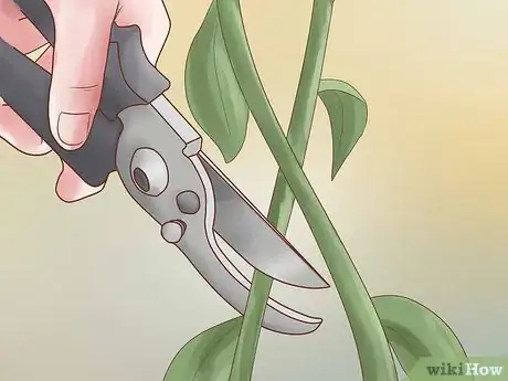 Image titled Prune Rosa Rugosa Step 4