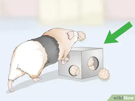Image titled Give Your Guinea Pig Treats Step 8