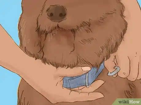 Image titled Travel with Pets by Car Step 5