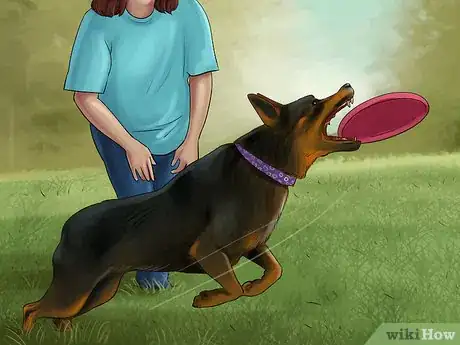 Image titled Know if You Are Ready for a Dog Step 31