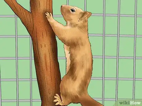 Image titled Keep a Pet Squirrel Step 10