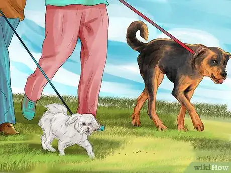 Image titled Make Your Dog Get Along With Other Dogs Step 5